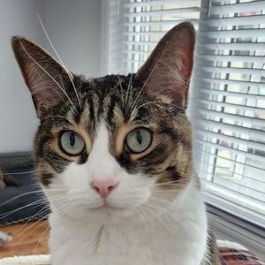 Meet your Posher, Deborah